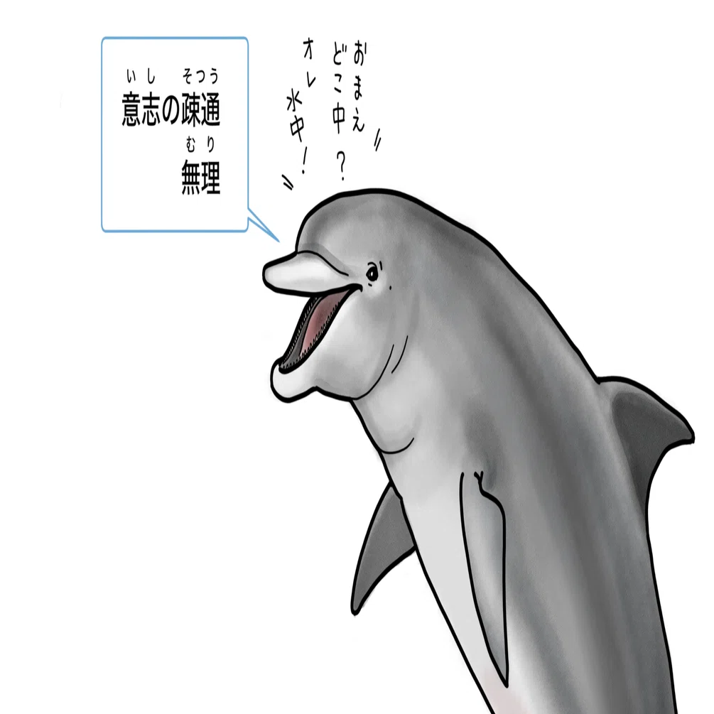 海でイルカにであったら 2025｜Shinobu Fukutake