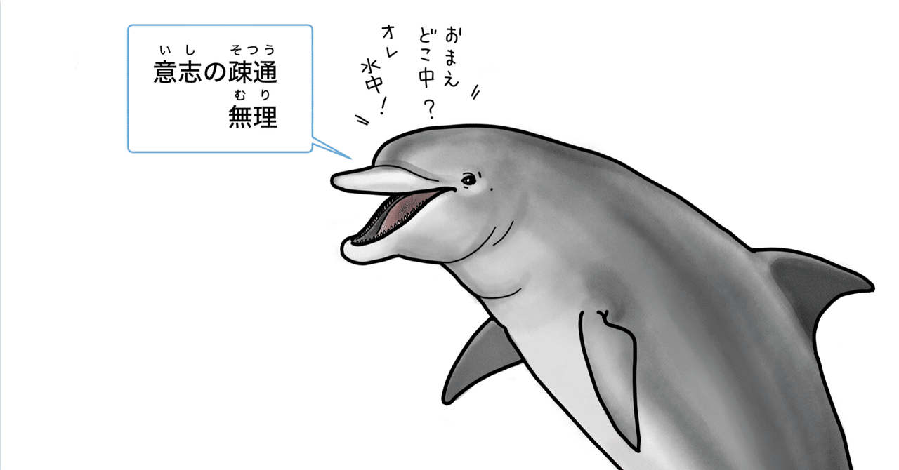 海でイルカにであったら 2025｜Shinobu Fukutake