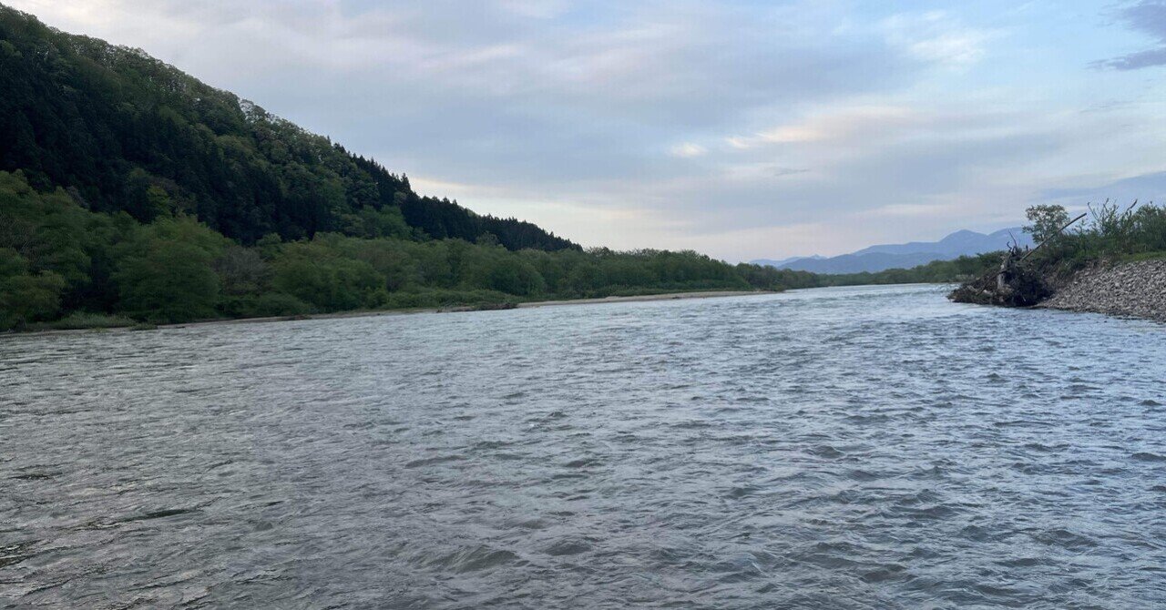 2025年新潟サクラマス釣り8日目【三面川】｜田沢寛