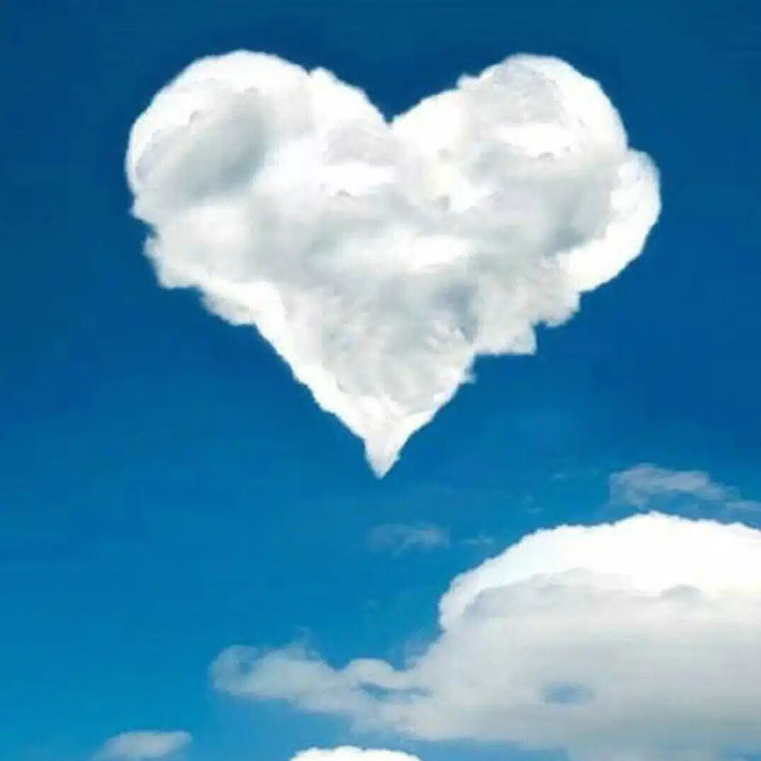 ☁️ふわふわじゃない日もある🕊️🌿✨