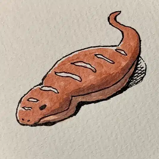 ツチノコ