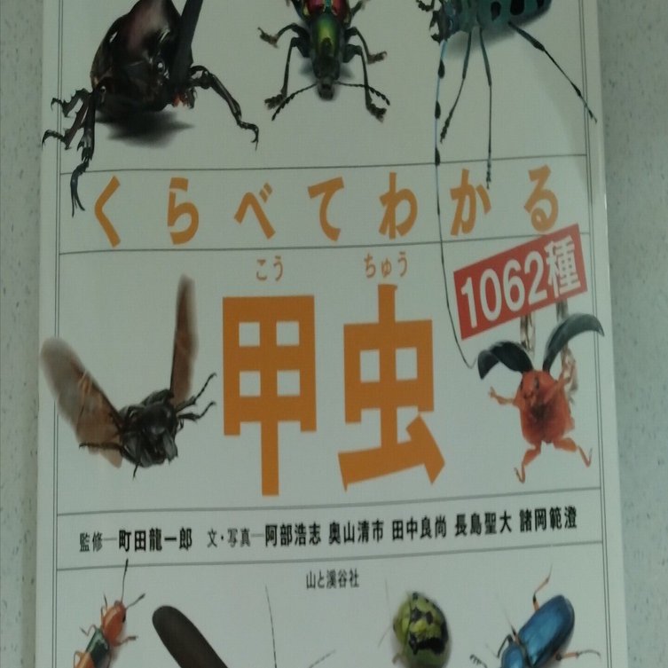 読書感想文】山と渓谷社「くらべてわかる 甲虫」を読んだ感想｜ちかの