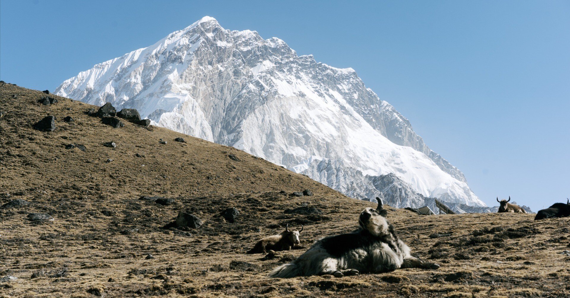 ネパールのトレイルから信飛トレイルのあり方を考える｜信飛トレイル