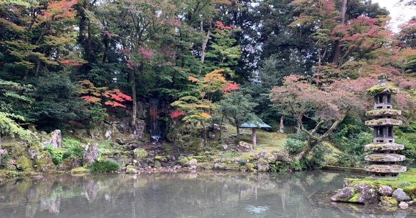 LP '85 NHK ヤングミュージックフェスティバル 六人組 LP '85 NHK ヤングミュージックフェスティバル 六人組 - メルカリ