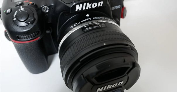 レフ機の魅力【Nikon D800、作例】｜谷 龍介