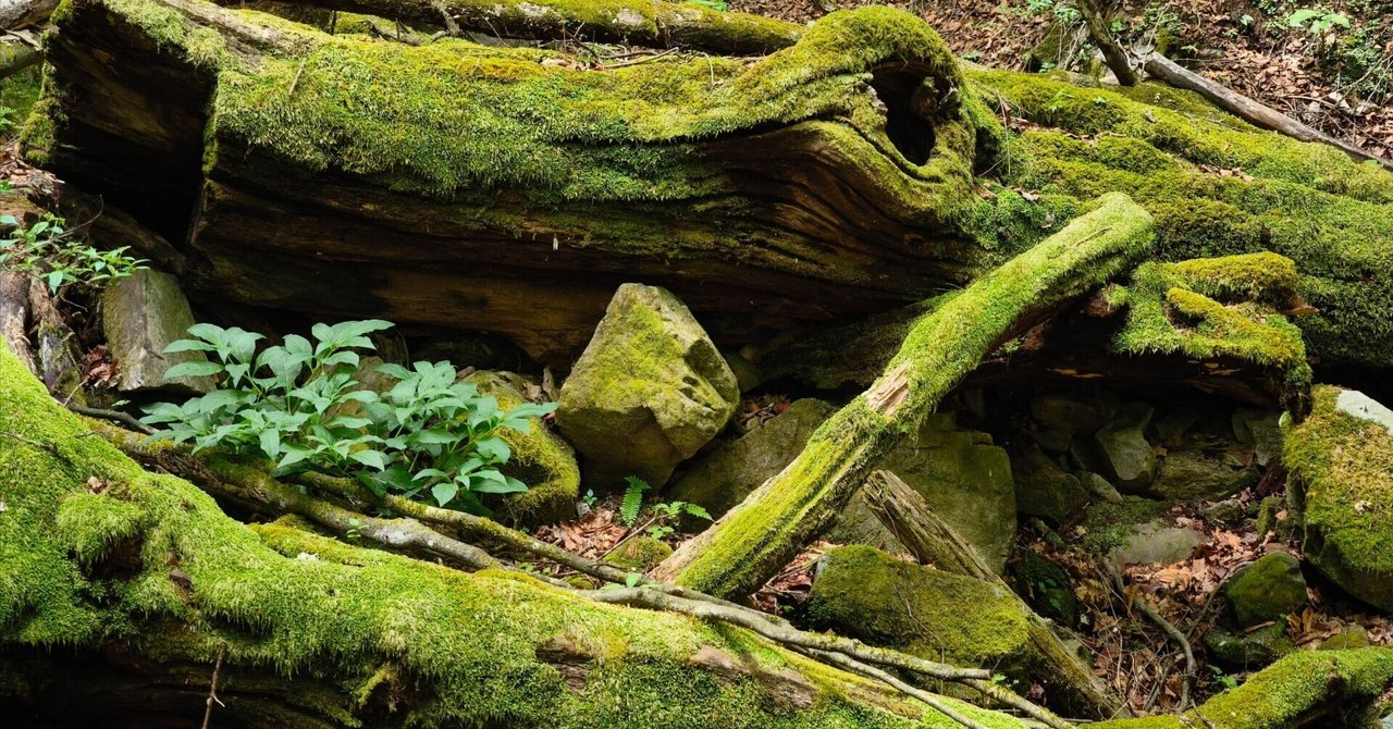 岩絵具　御嶽山　縦57cm  横50cm 岩絵具 御嶽山 縦57cm 横50cm 岩絵具御嶽山縦57cm 横50cm