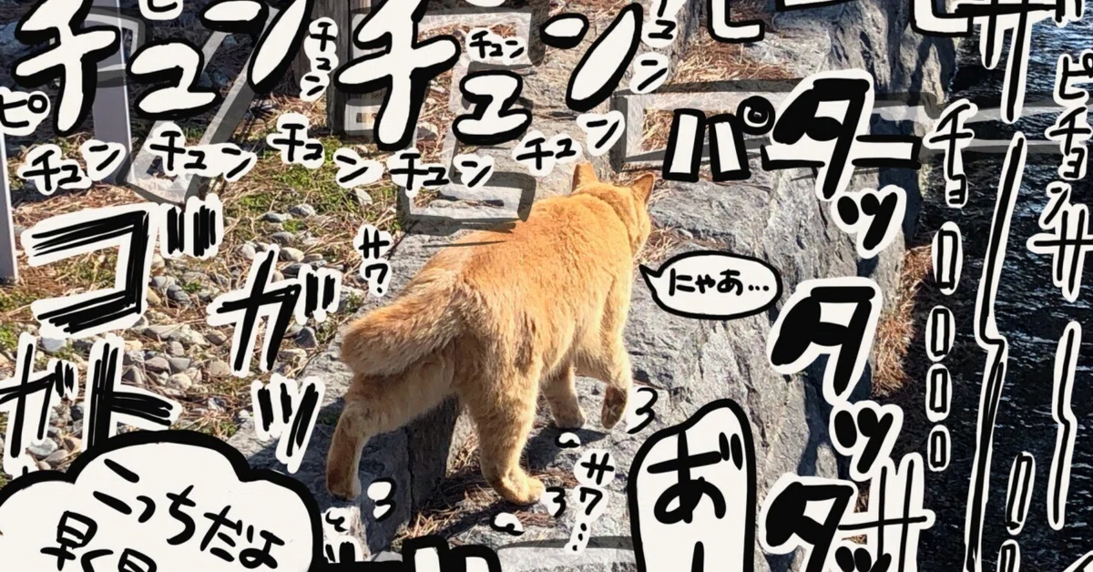 見出し画像