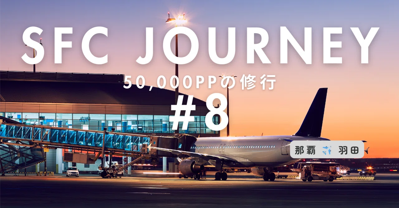 航空券 8/8（木）朝便 那覇8:55発羽田11:20着（片道） 【公式通販】