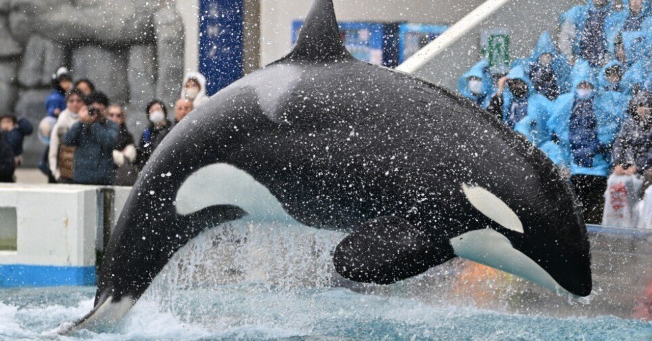 GWの鴨川シーワールドレポート｜るーと