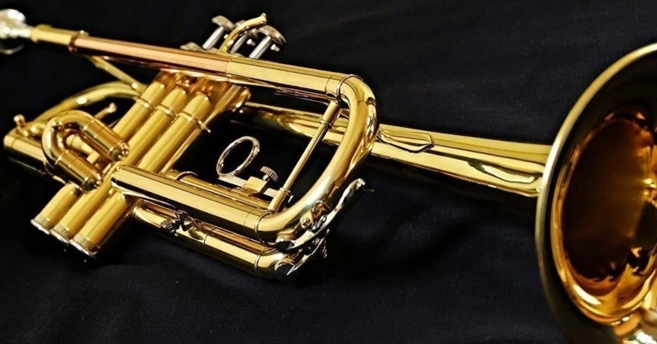 【吹奏楽部】金管楽器を吹くあの人|アナ|note