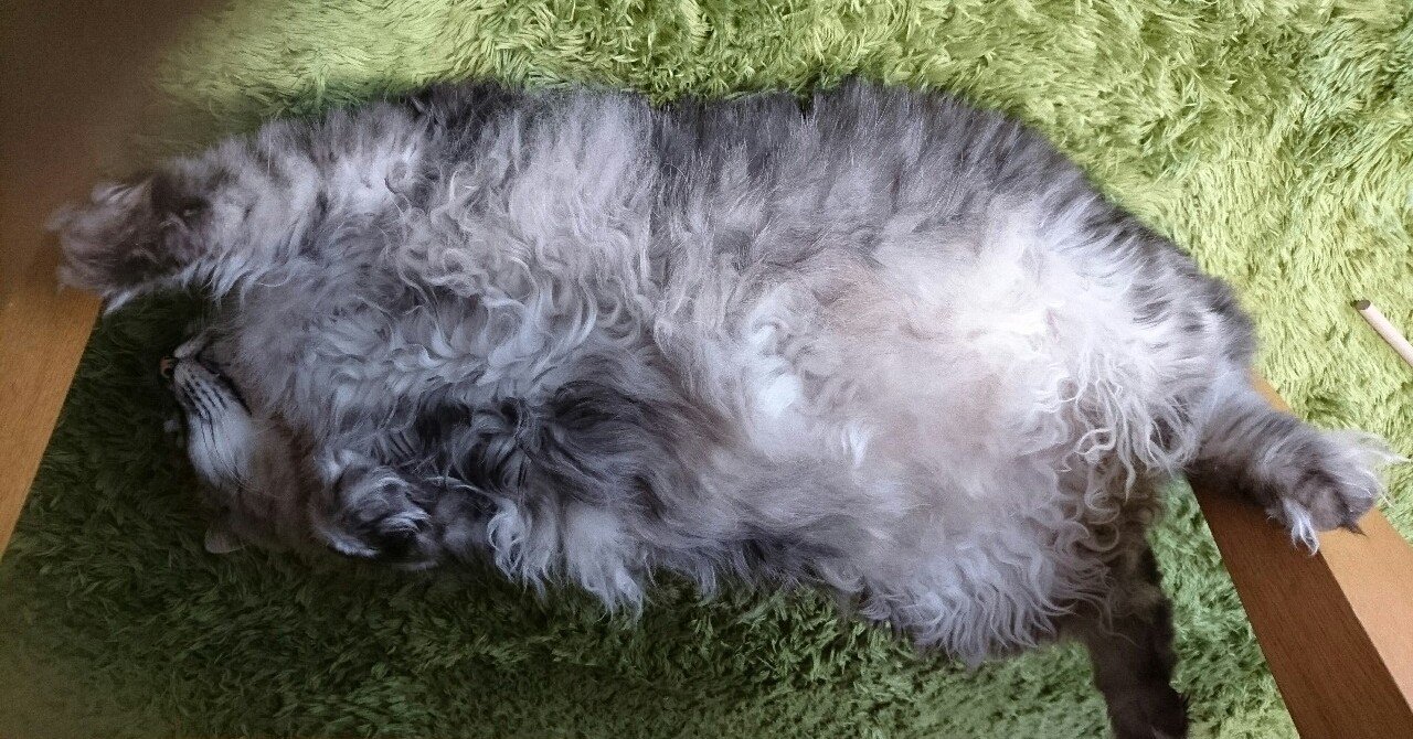 Mbti診断 ユング式心理診断 でinfpというものらしい ムト紺 Note Mbti診断 ユング式心理診断 でinfpというものらしい ムト紺 Note