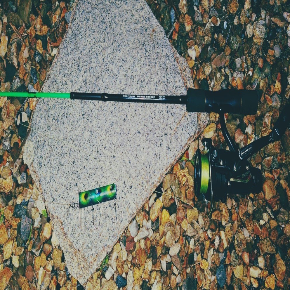 鱒レンジャーをナマズトップゲーム用に改造 解説付き｜hot_lotus7226