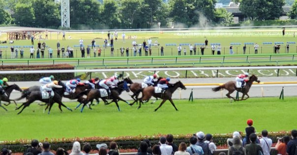 馬の瞳を見つめて 馬の瞳を見つめて(増補版)16｜渡辺はるみ