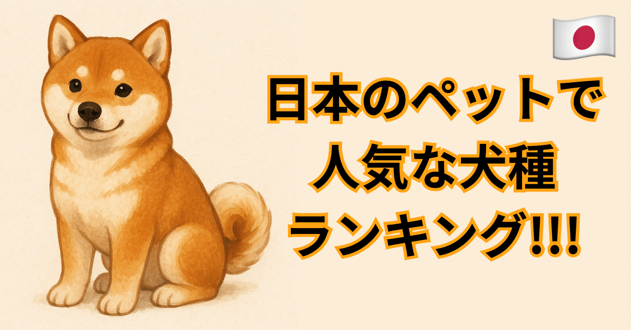 babythree400% 2代目　特別目　人気の犬 BREEDERS LINEこいぬの森🌳 こいぬ🐶情報です ロングコート
