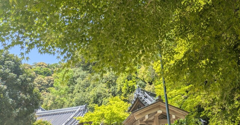 【60％OFF】 熱力学・統計力学 熱力学極限とは｜KT その他