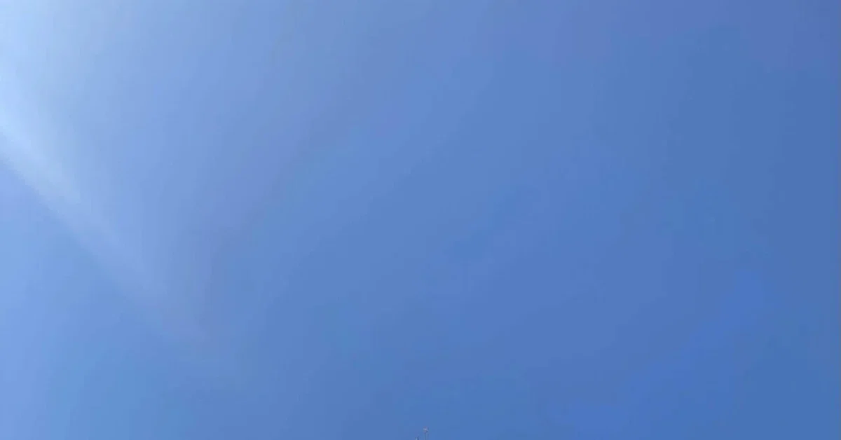 èŠåºãç»å