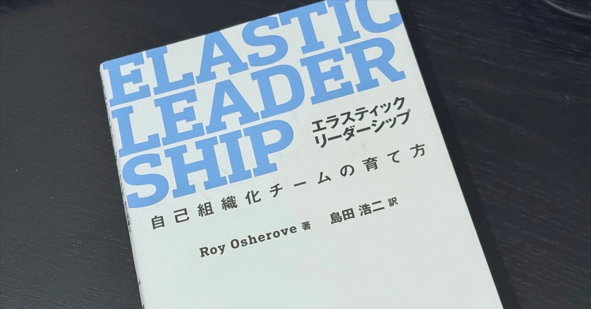 書籍「エラスティック・リーダーシップ」に寄稿したエッセイの公開に
