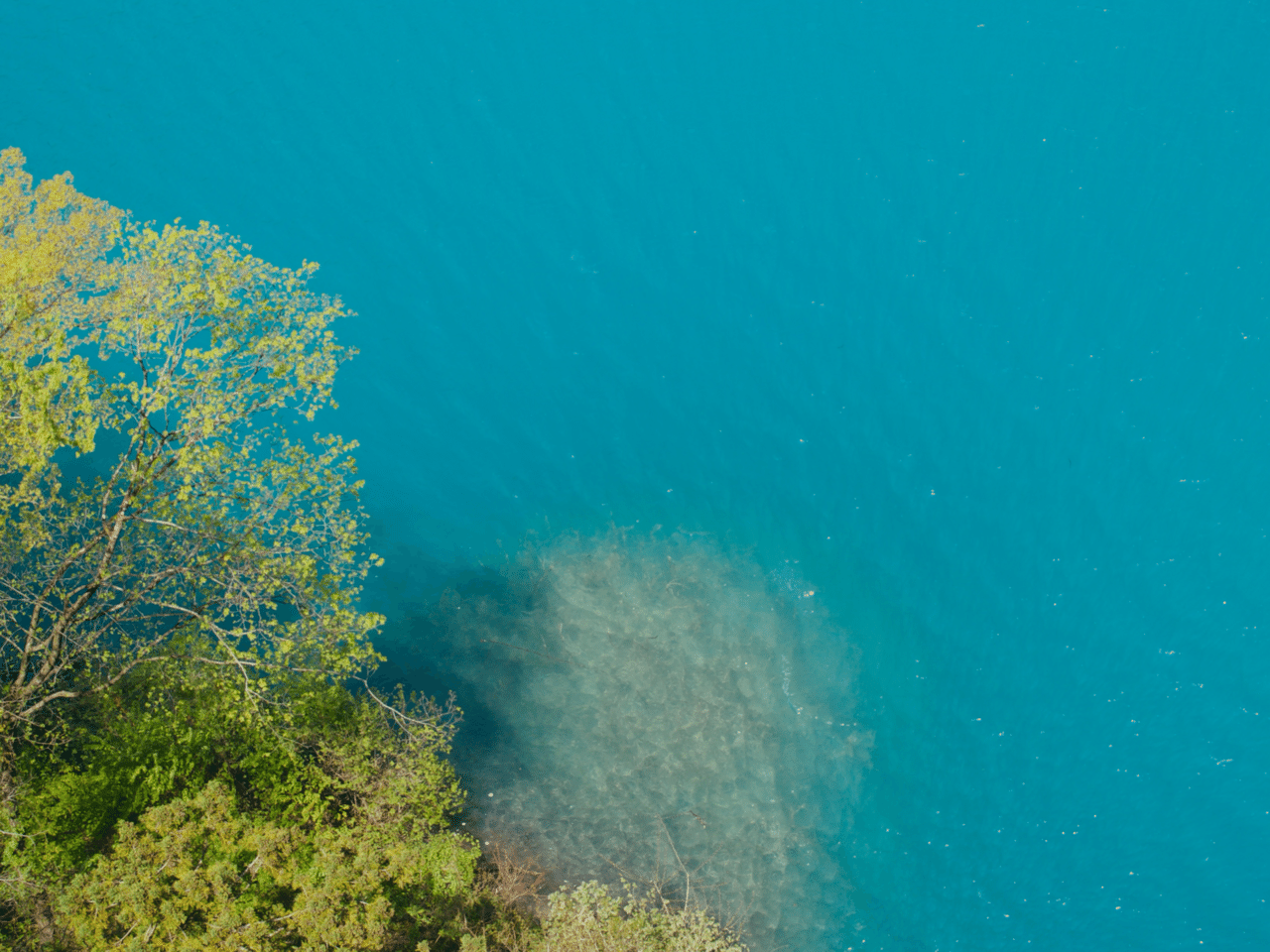 オリンパスブルーを探す旅｜かまた