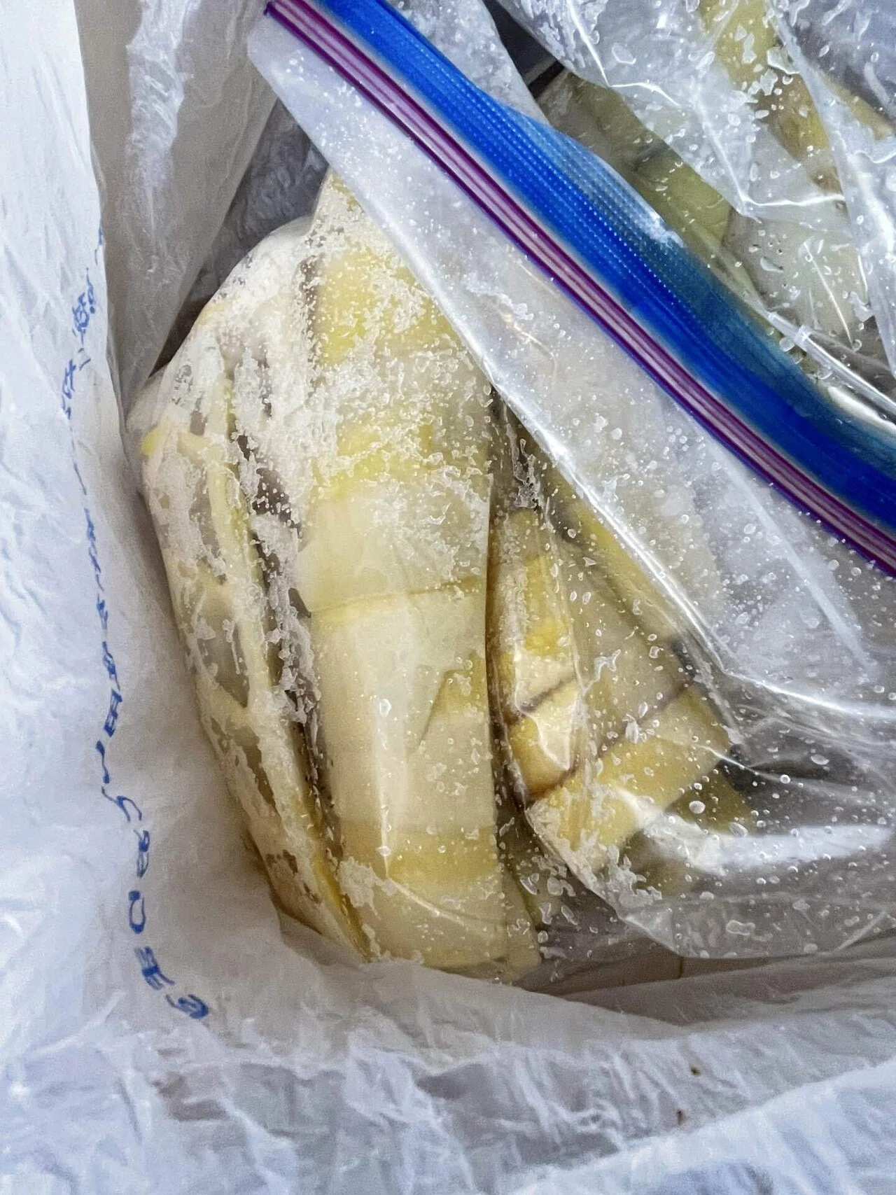 メンマを作ろう①〜採集からアク抜き、塩漬けまで〜｜はんだあゆみ