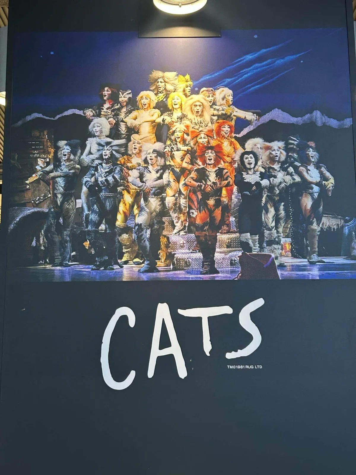 劇団四季Cats仙台公演開幕おめでとうございます｜ひとり旅爛子のnote