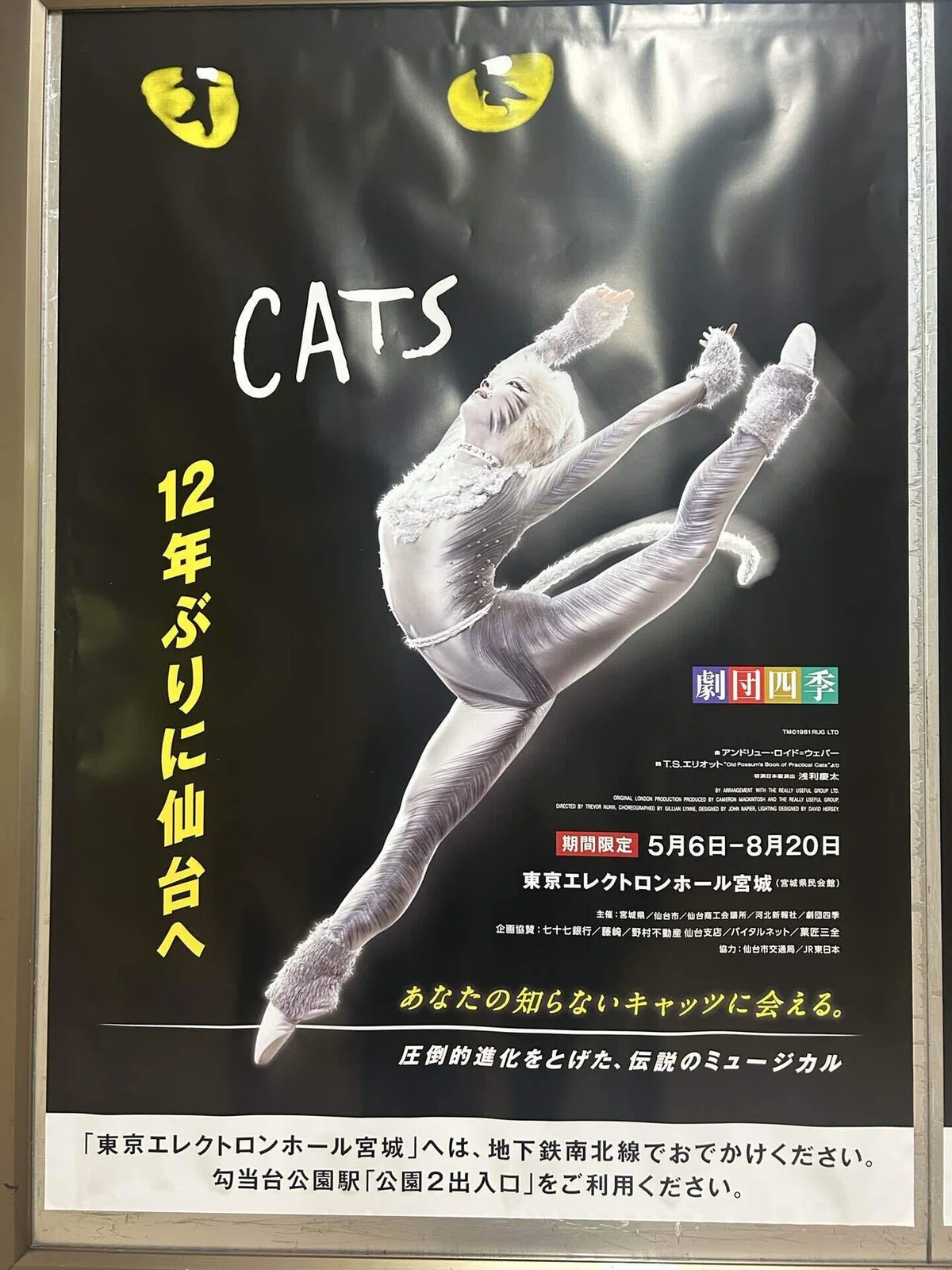 劇団四季Cats仙台公演開幕おめでとうございます｜ひとり旅爛子のnote