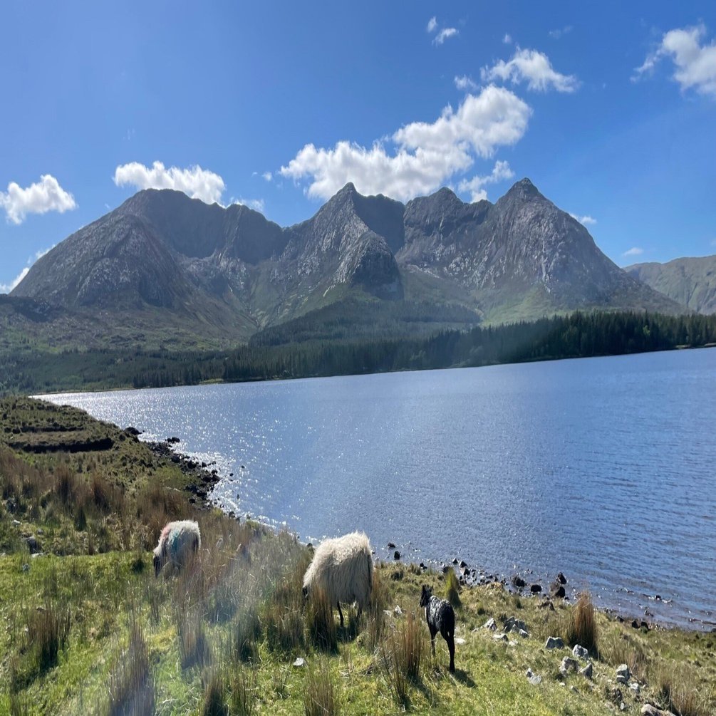 アイルランドの自然と岩｜くるんぷり