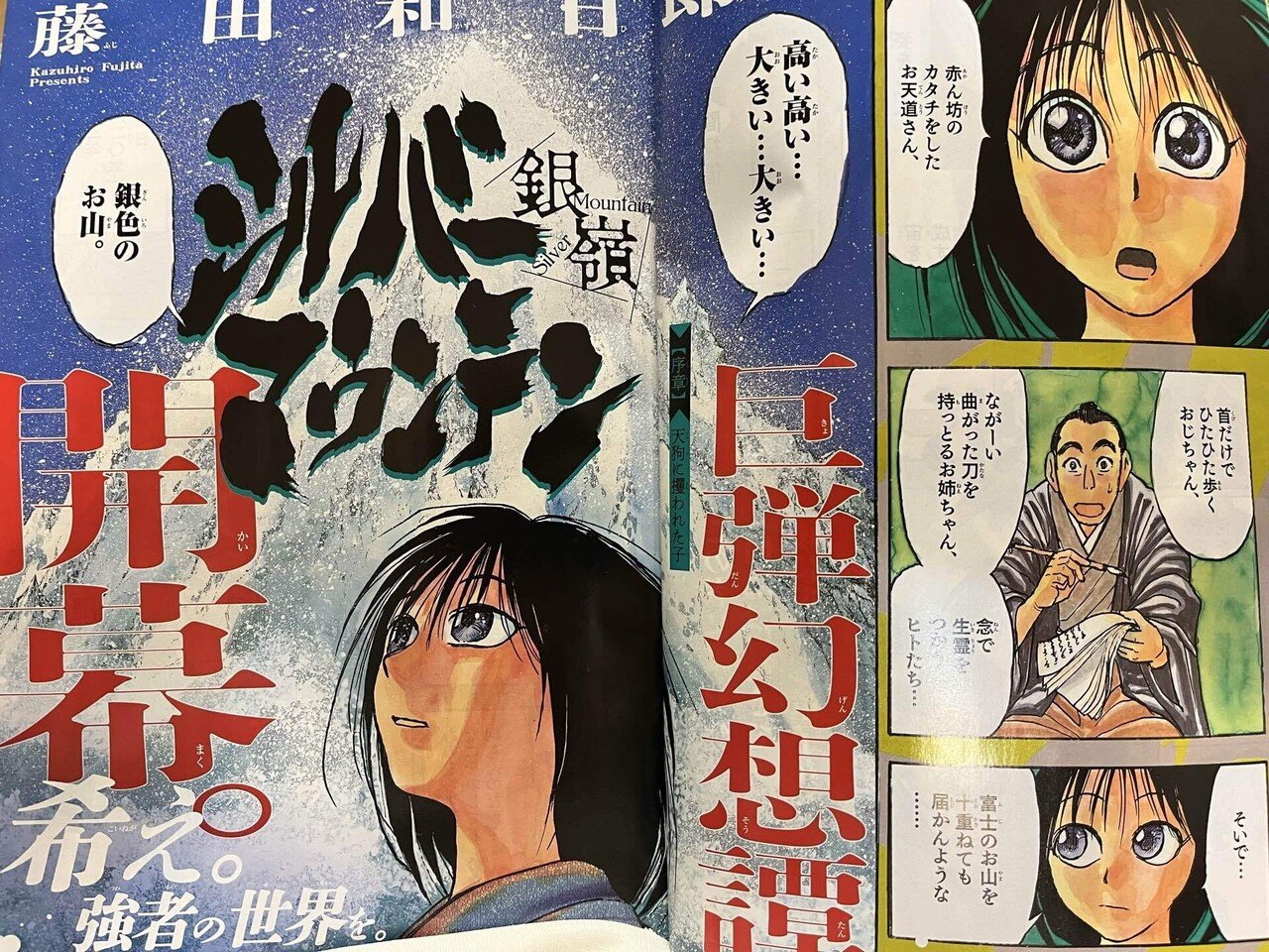 シルバーマウンテン』（藤田和日郎）と『ヴァンパイドル滾』（島本和彦