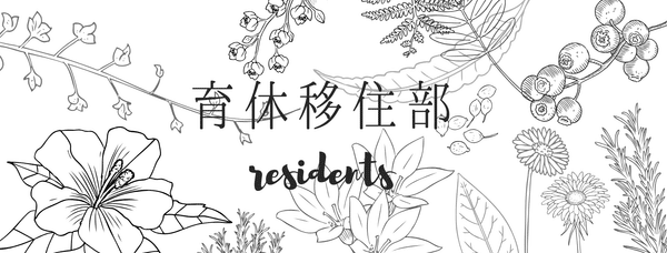 ◎はじめの一歩◎