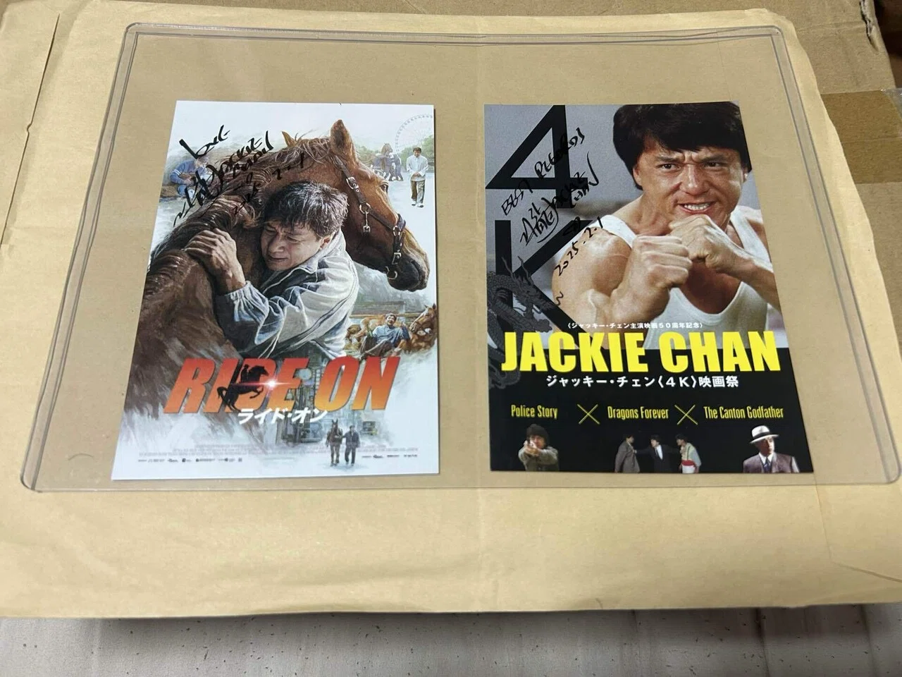 シャッキー チェン