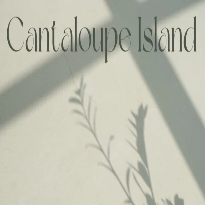 ジャズ を聴くなら、この一曲！ Cantaloupe Island（カンタロープ