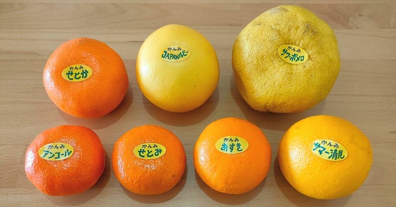 食のまちストーリーズ vol.06「幸福の黄色いカンキツ」｜食の