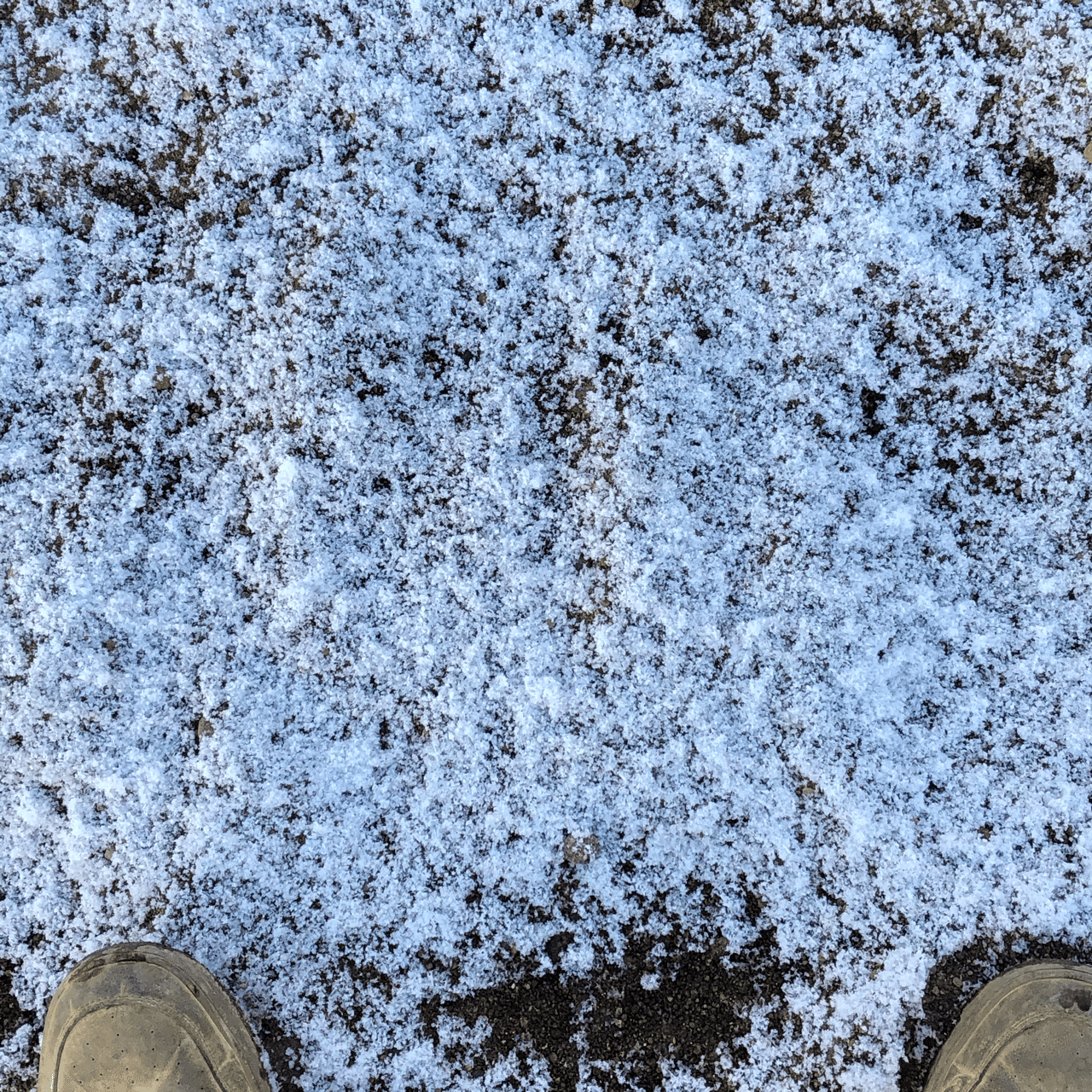 春の雪 平井充 Note