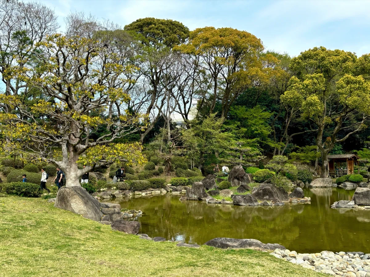 春いろさんぽ 《慶沢園とさすらいの青鷺編》｜いろ