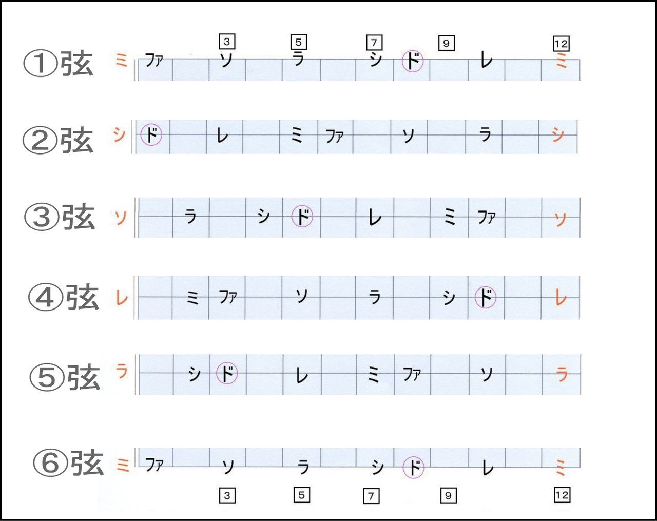 ギターの指板の音の並びって実は単純 Guitarist Mako G Note ギターの指板の音の並びって実は単純 Guitarist Mako G Note
