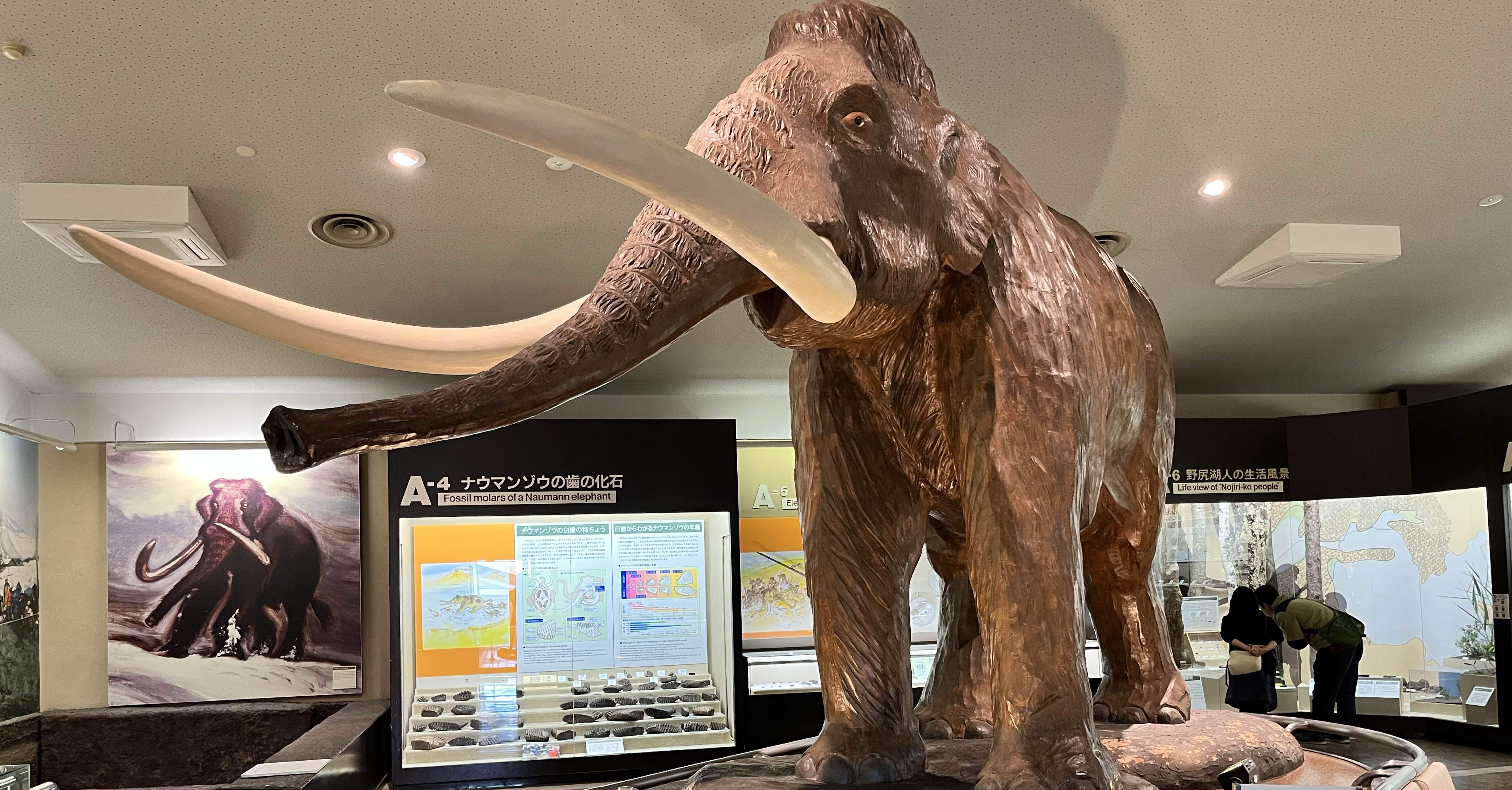 5affbf0aaf284e96c26c2e4adef1a6