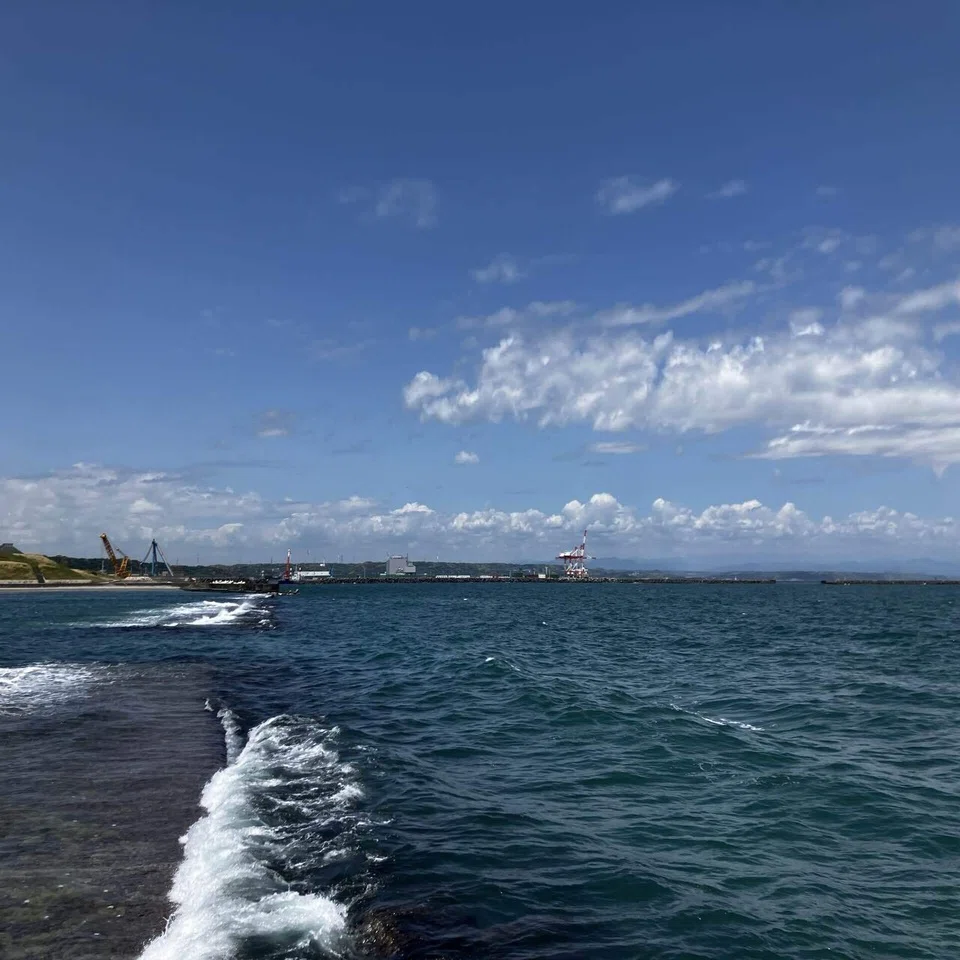 0508｜流木