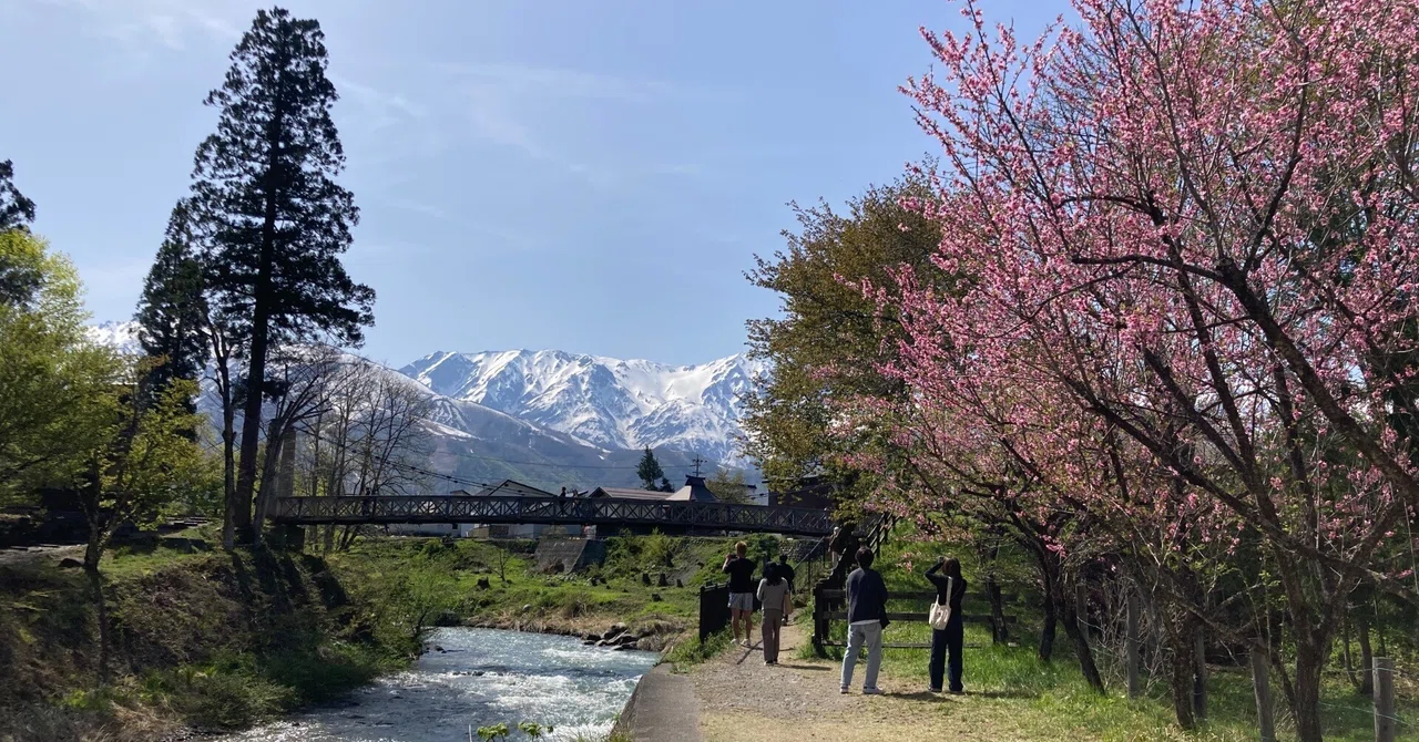 120号　長野県　白馬　北アルプスの春 長野】北アルプスと桜とりんごの花と 須坂・白馬GW旅｜harenohini