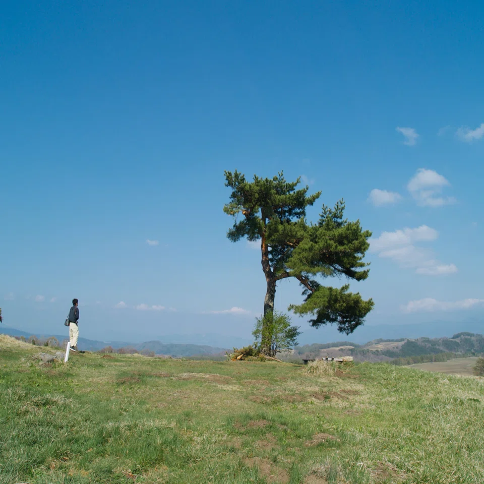 オリンパスブルーを探す旅｜かまた