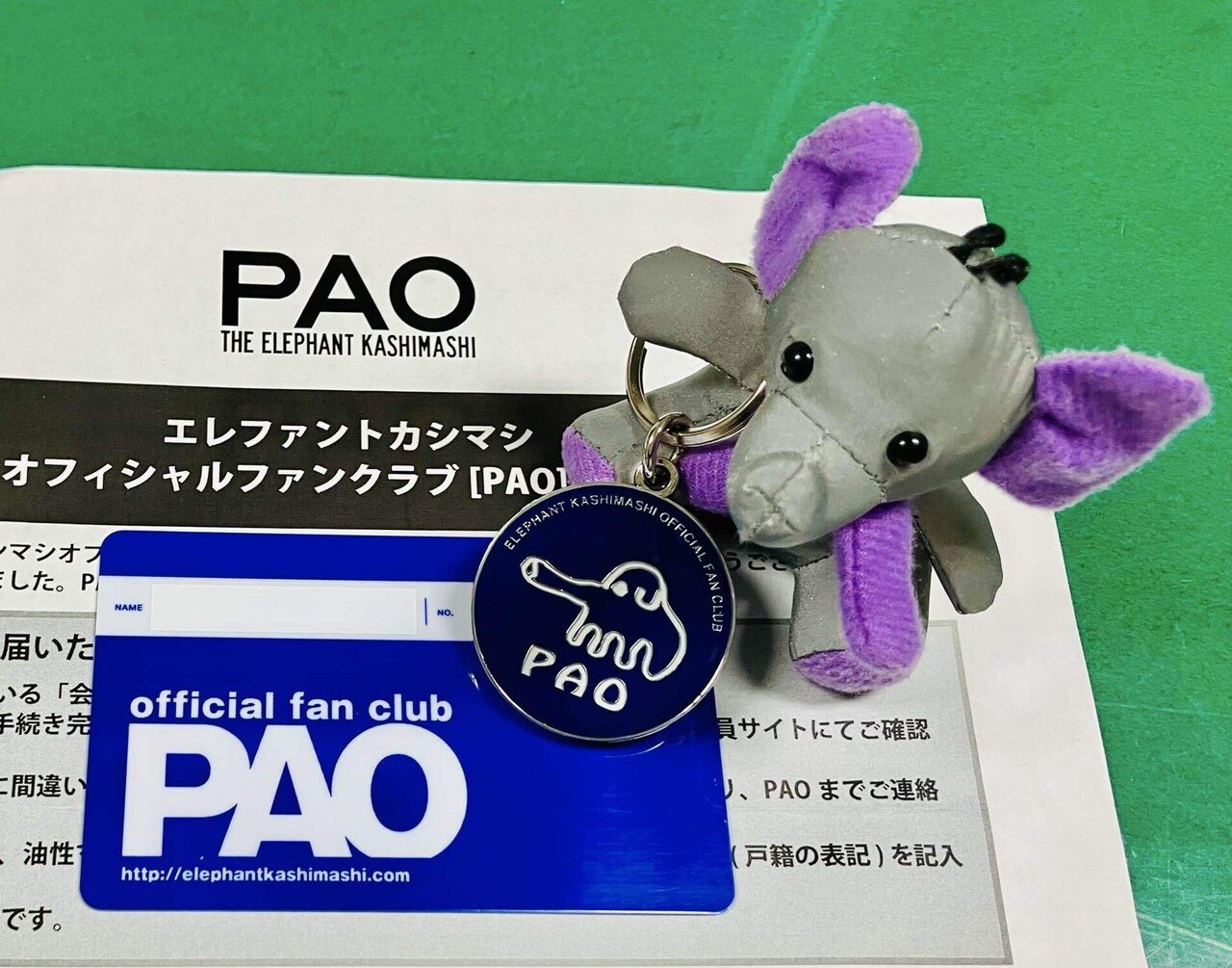 エレファントカシマシファンクラブ会報PAO VOL.1〜31&初期