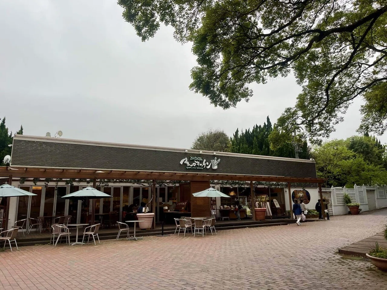 Winery Visit Report: 