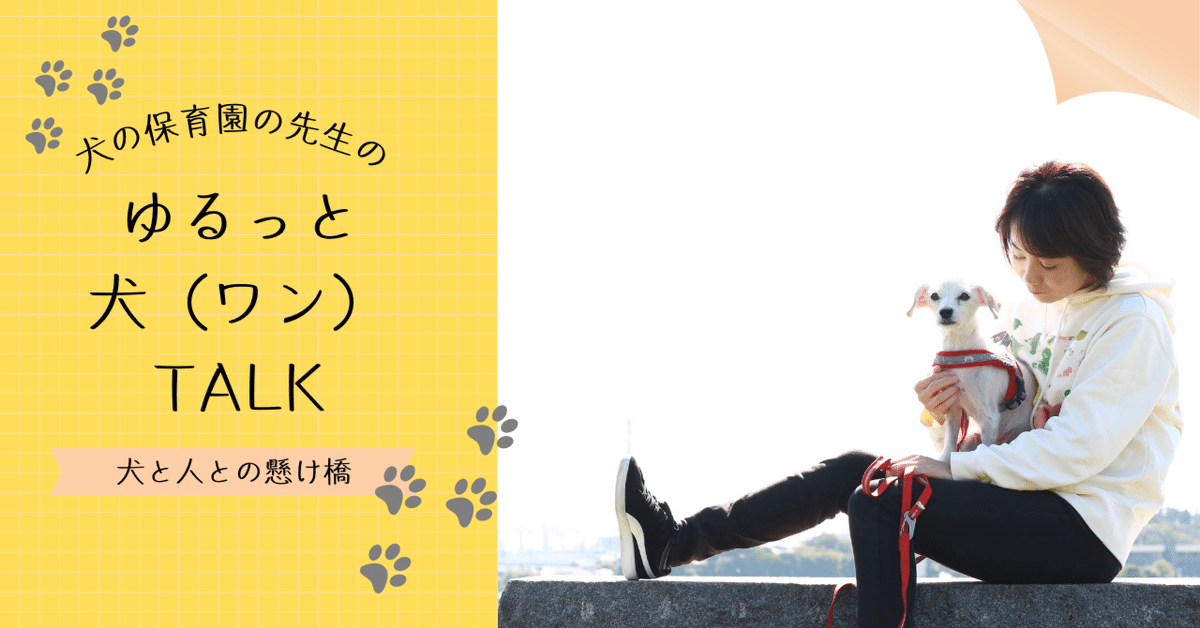 214.愛犬の旅立ちから2年。ペットロス専門士が語る「虹の橋の