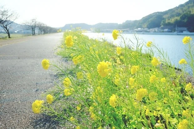 画像2