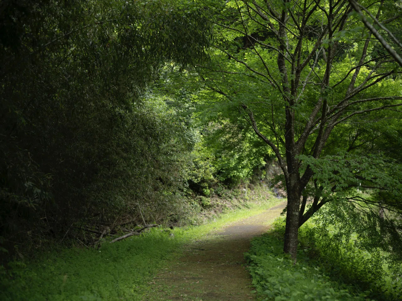 KIPON BAVEYES Pentax 67 - GFX 0.62 x フォーカルレデューサー 