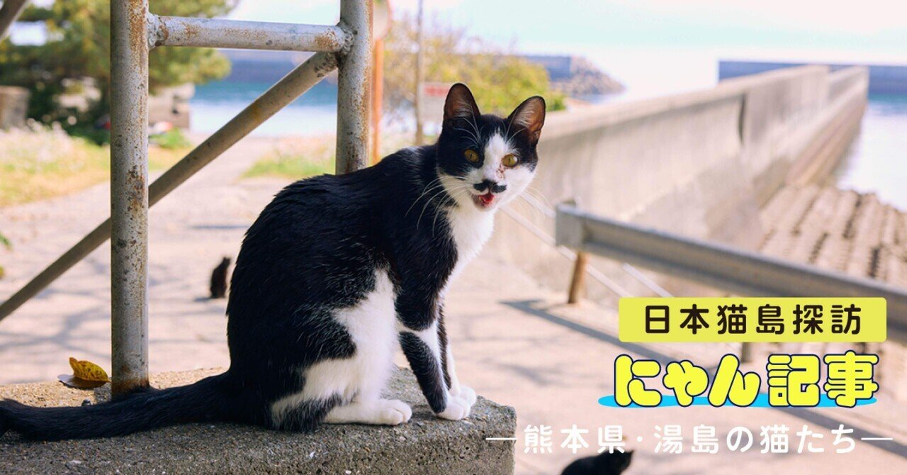 クロネコみっけ - 旅行｜ヤマト運輸公式note｜note