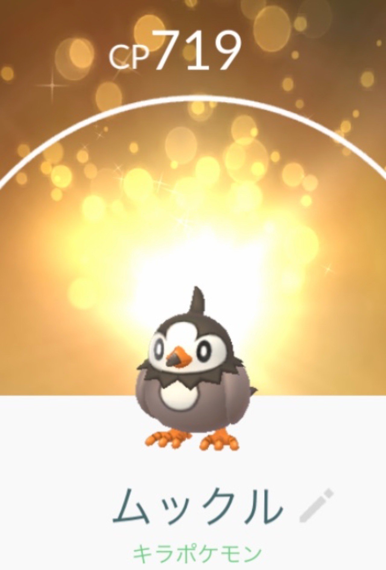 ムックル 鳴き声 ムックル 鳴き声