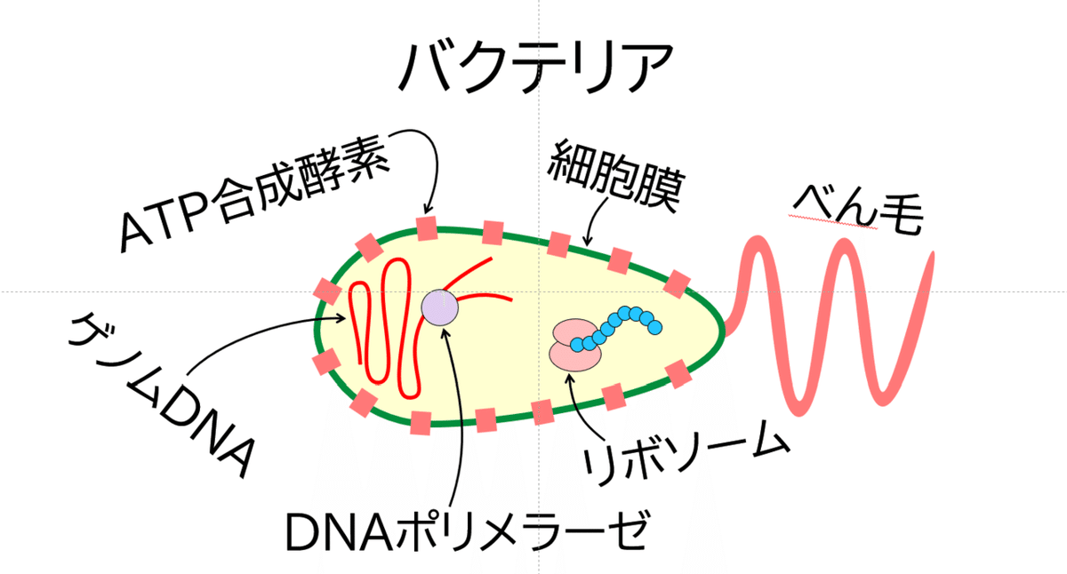 000_ウイルス