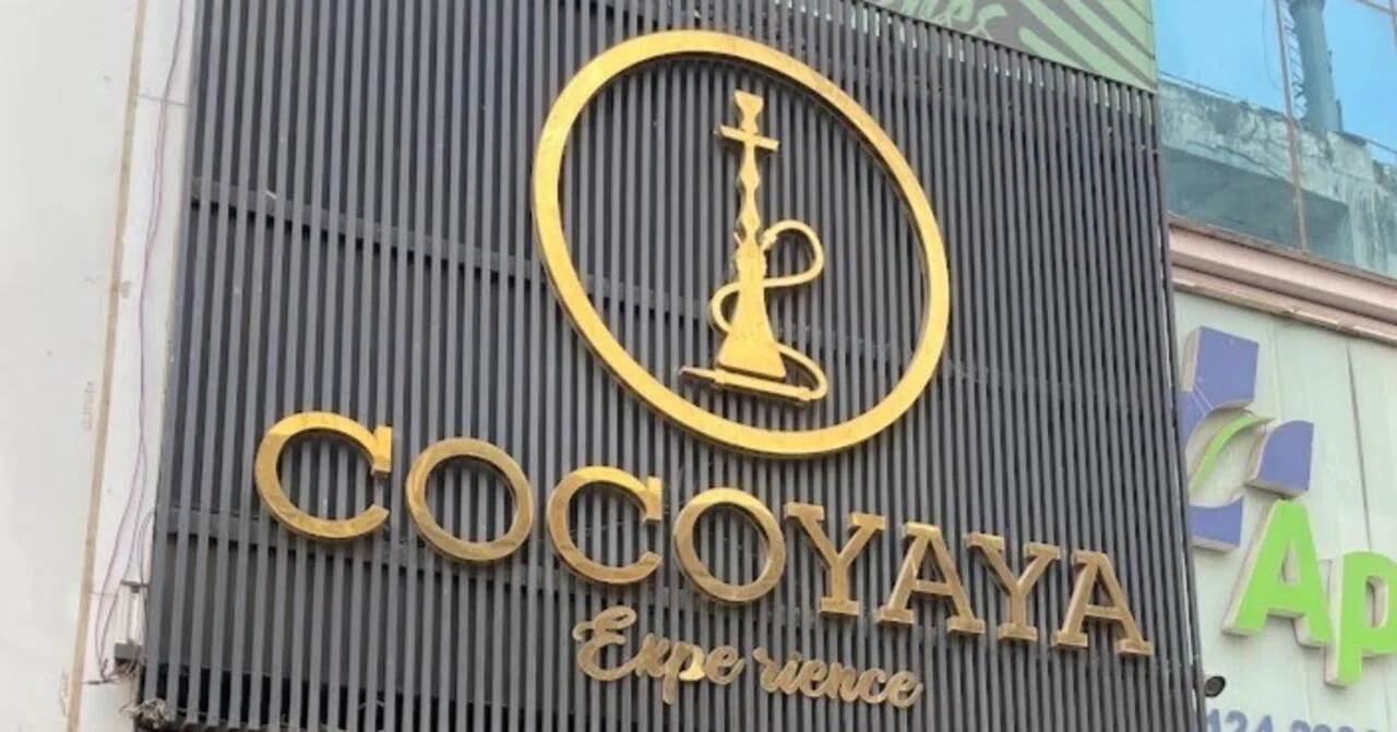 インドシーシャの雄、COCOYAYAを知っているか｜ネクタリン