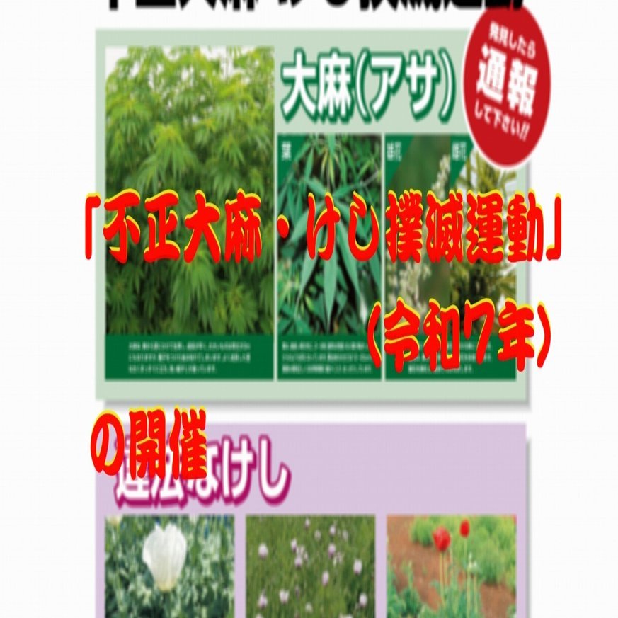 不正大麻・けし撲滅運動」（令和7年）の開催｜cyo99