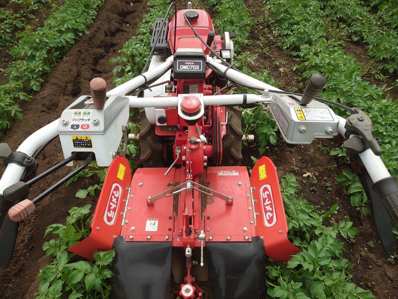 ジャガイモの土寄せをする｜内野知樹