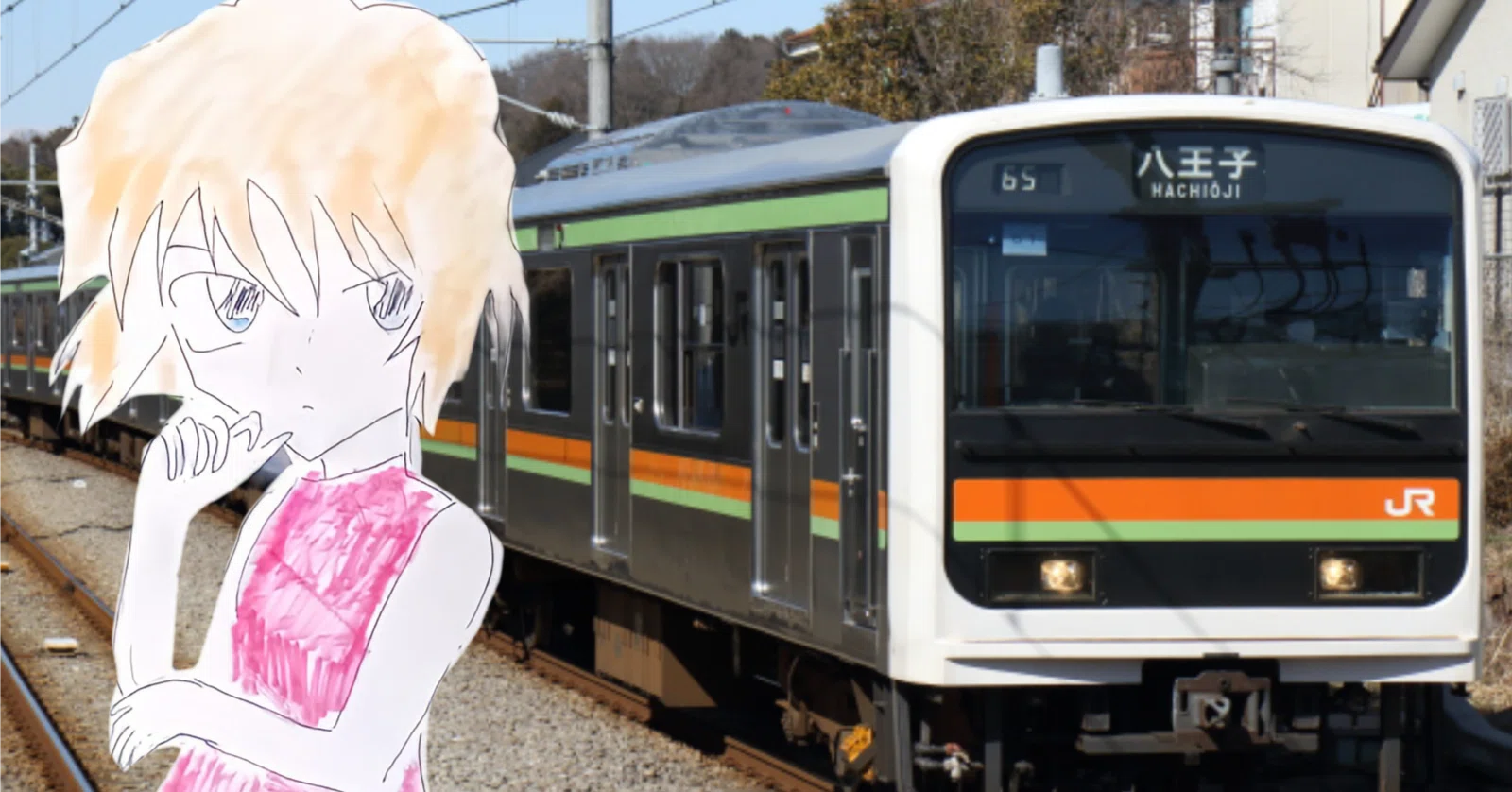 八高線ってどんな電車｜シャオ おキヌ 名雪
